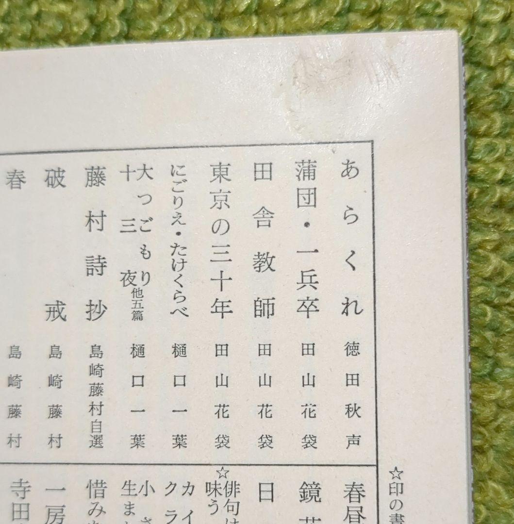 野上弥生子 迷路 真知子 大石良雄 海進丸 欧米の旅 他 岩波文庫 12冊セット