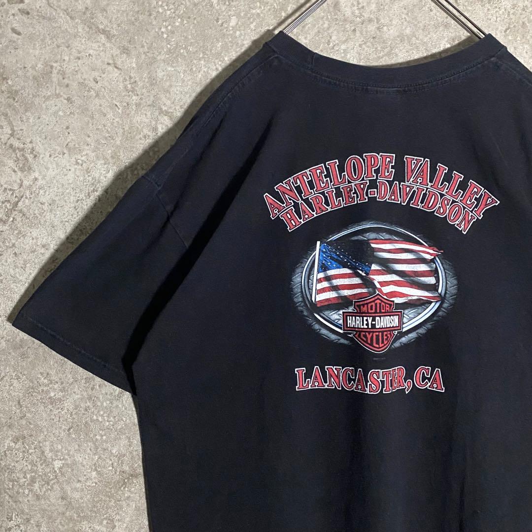 【希少】ハーレーダビッドソンTシャツ 2011年製 バイクガール アメリカ XL