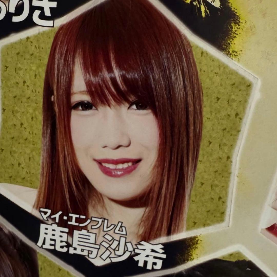 貴重品✨スターダム 2019年4月 ポスター 女子プロレス STARDOM