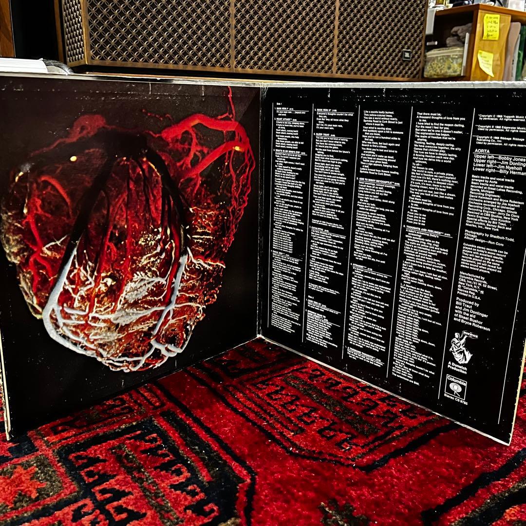 洋楽 AORTA US original LP PSYCH ACID SOFT