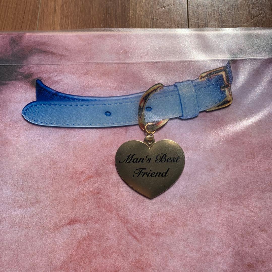 Man's Best Friend レコード