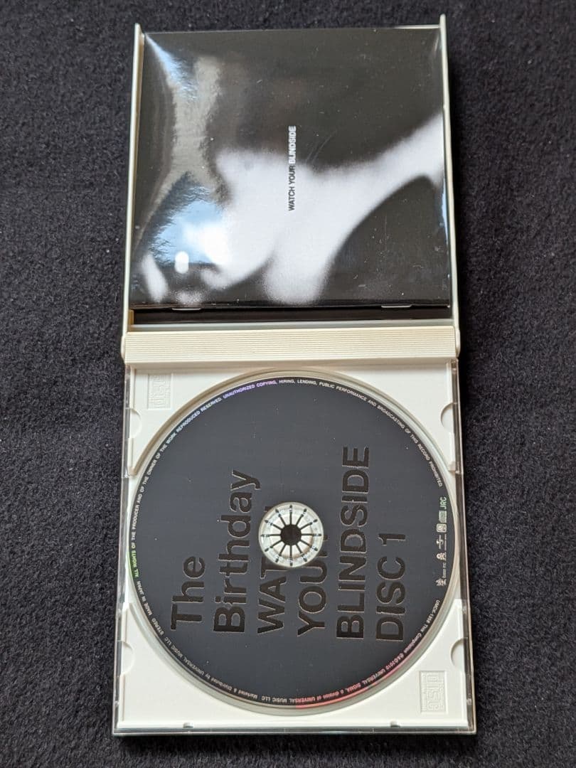 The Birthday WATCH YOUR BLINDSIDE　チバユウスケ