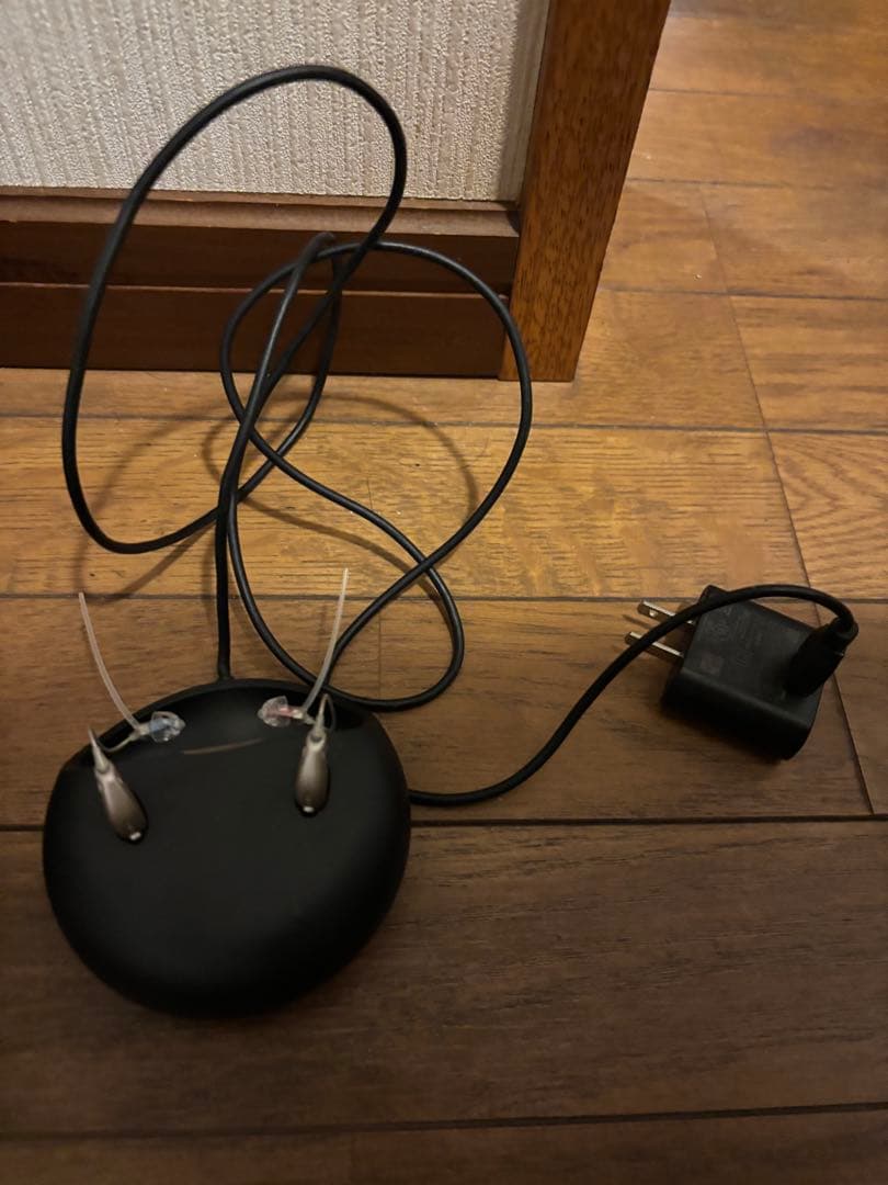 オーテイコン　らくみみＭＫs1 G500S 補聴器　集音器