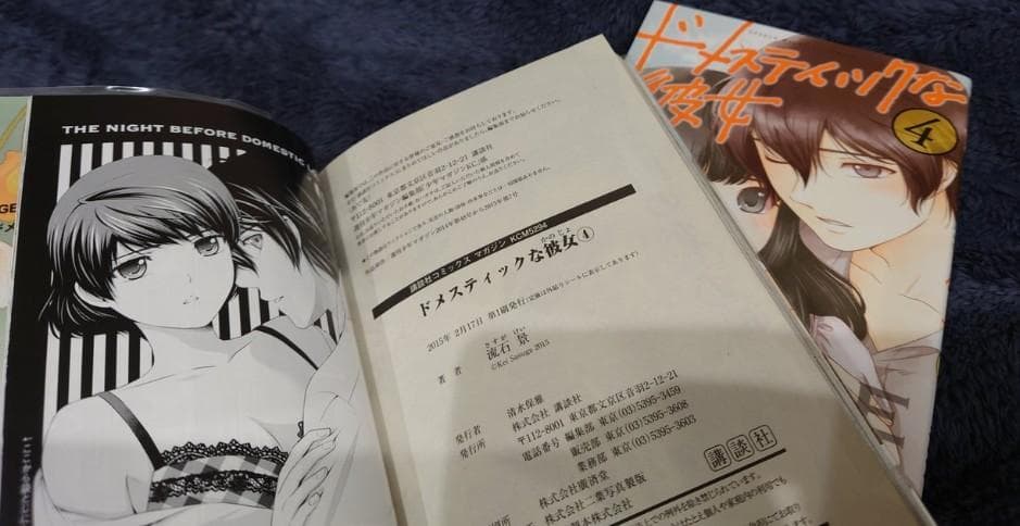 ドメスティックな彼女（レア特装版など複数有り！）