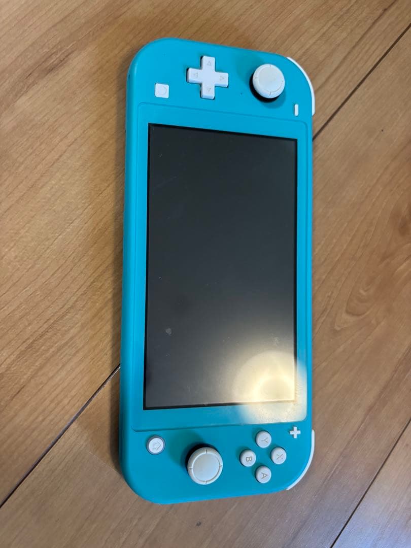 Switch Lite本体(ケース付き・動作確認済み)