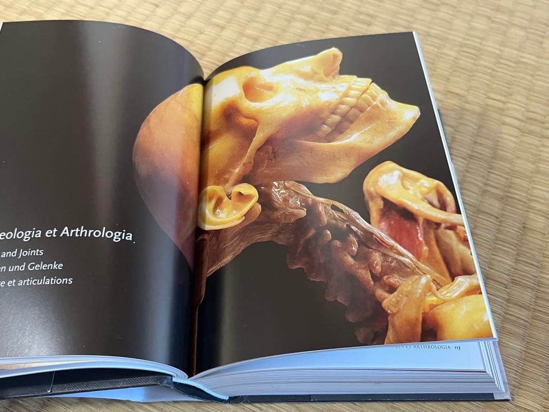 Encyclopaedia Anatomica 人体解剖学