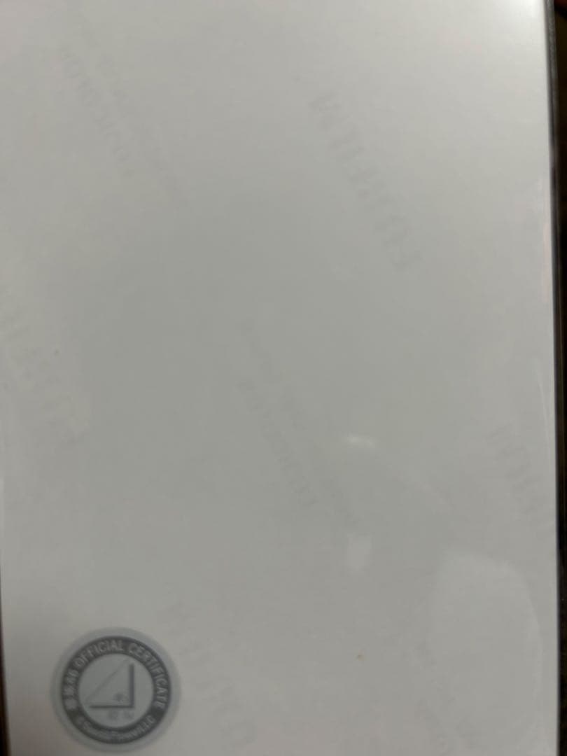 【ぼー出品】櫻坂46 目黒陽色 直筆生写真