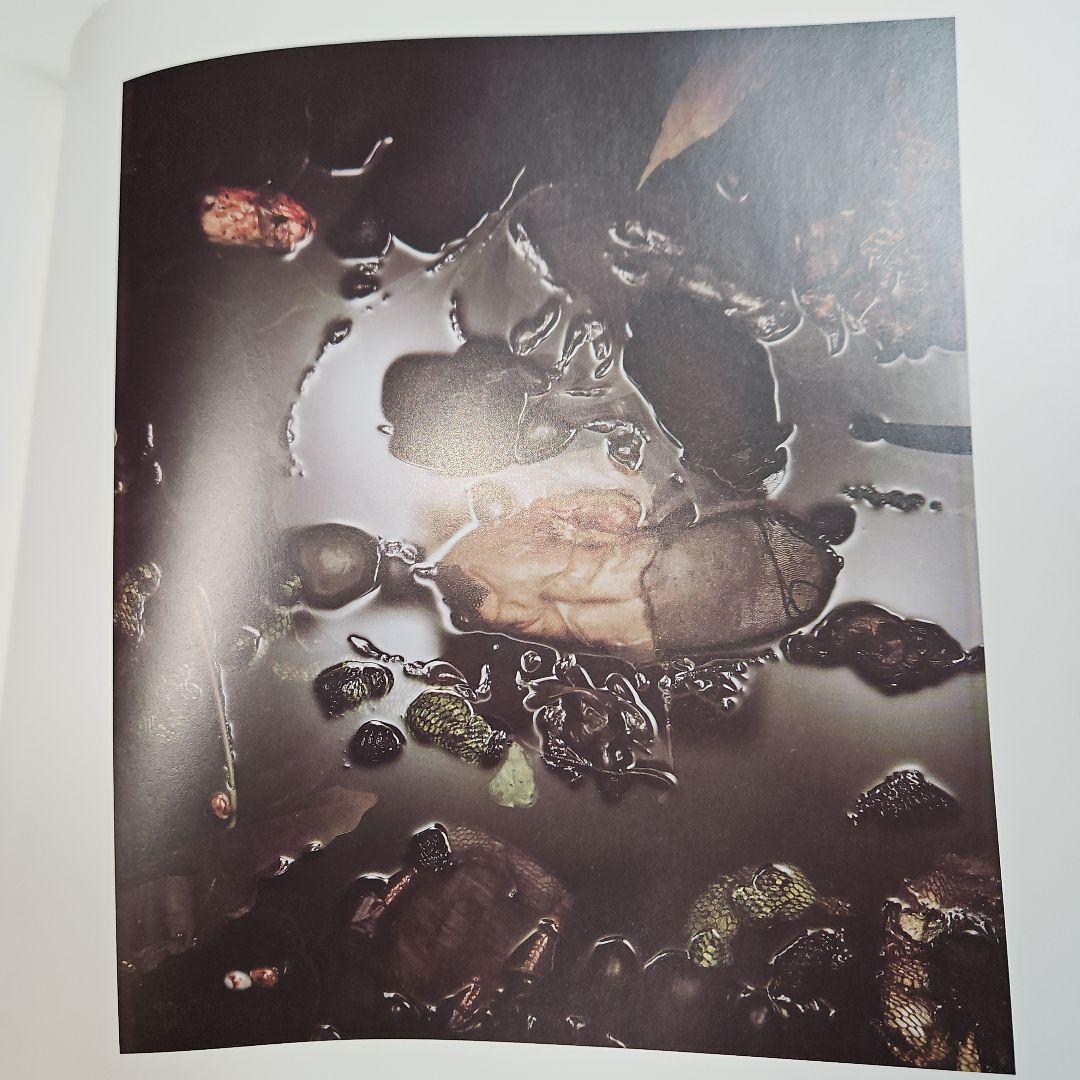 経年 美品　STILL TIME　SALLY MANN　サリーマン　写真集　洋書