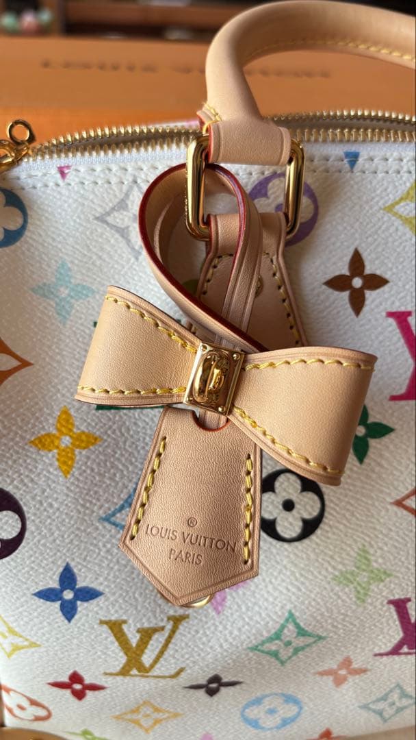 LOUIS VUITTON マルチカラーボストンバッグ