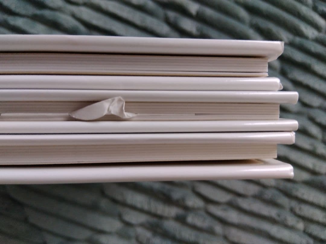 レイモン·ペイネ画集 3冊セット