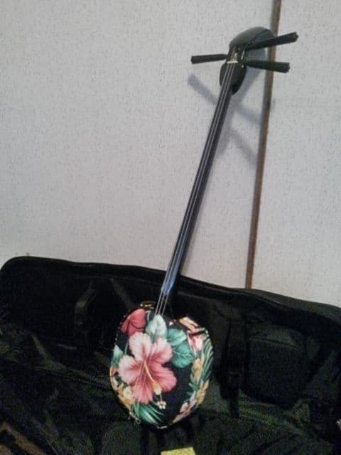 ♪沖縄で買った三線♪超綺麗で♪
