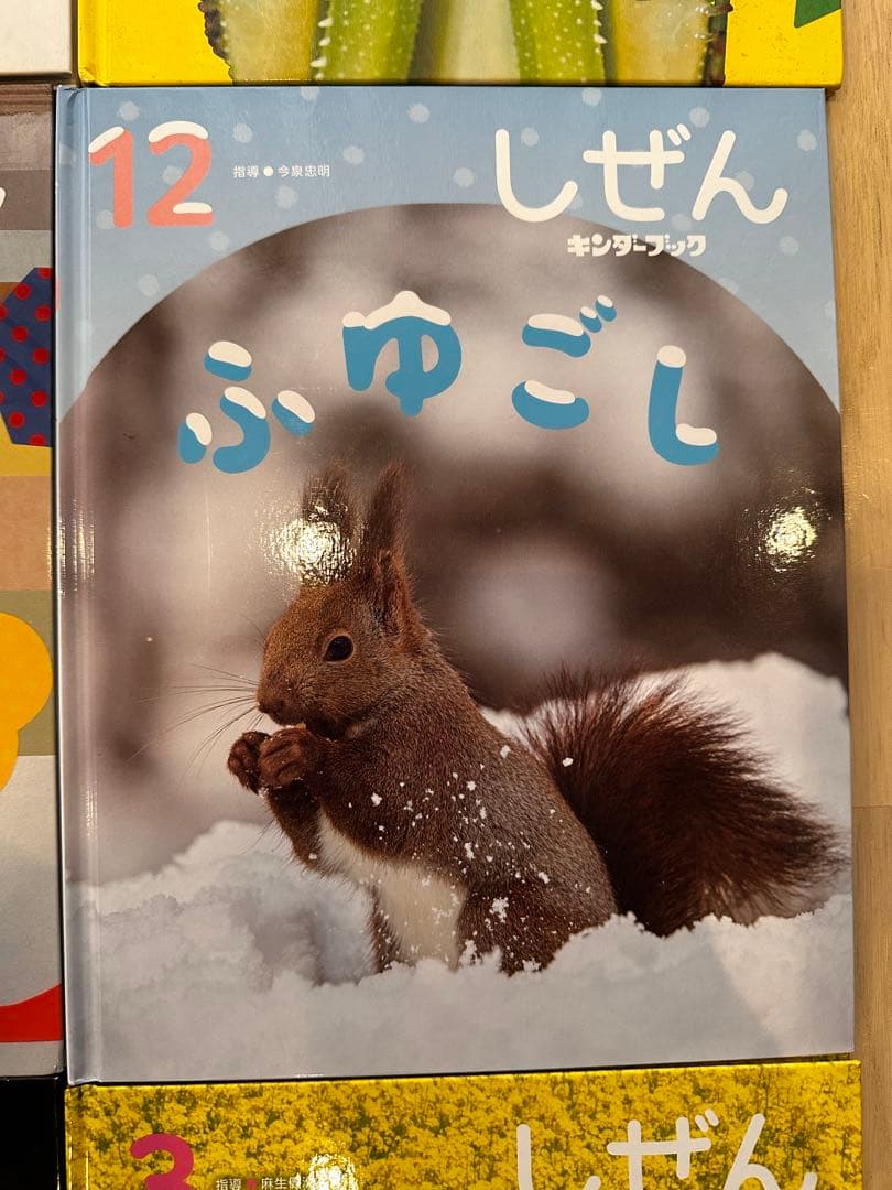 2026年3月 しぜん 絵本シリーズ全12巻セット　フレーベル館 キンダーブック