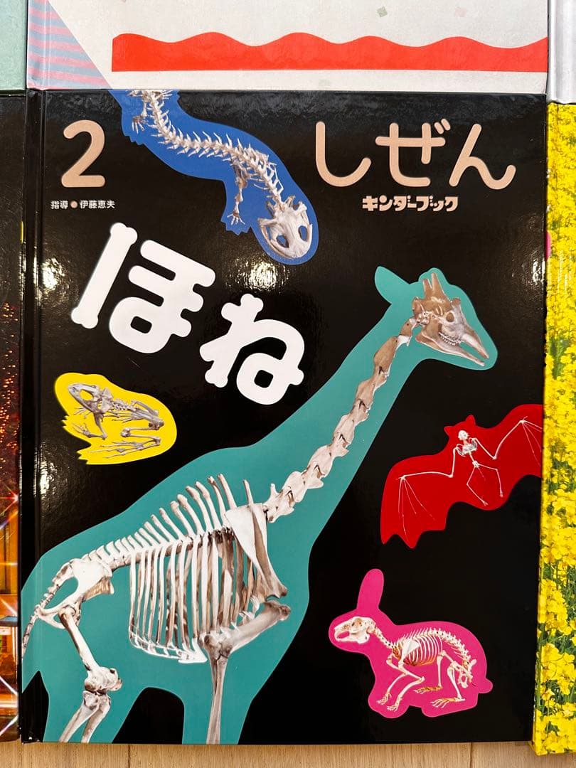 2026年3月 しぜん 絵本シリーズ全12巻セット　フレーベル館 キンダーブック