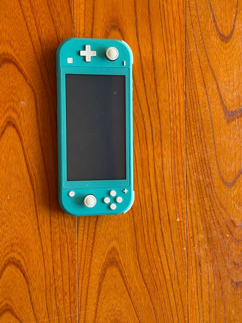 Nintendo Switch Lite ターコイズ ・ケース付き