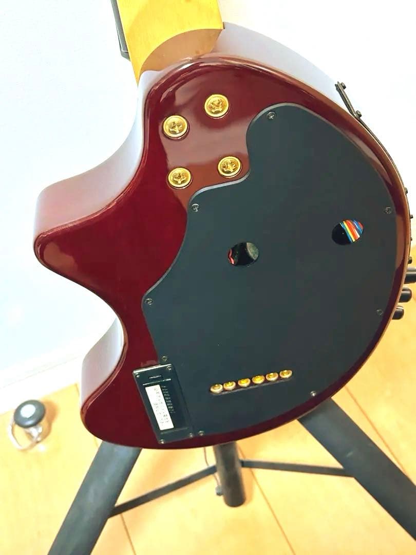 FERNANDES ZO-3 DIGI-ZO HIPER WR デジゾーハイパー