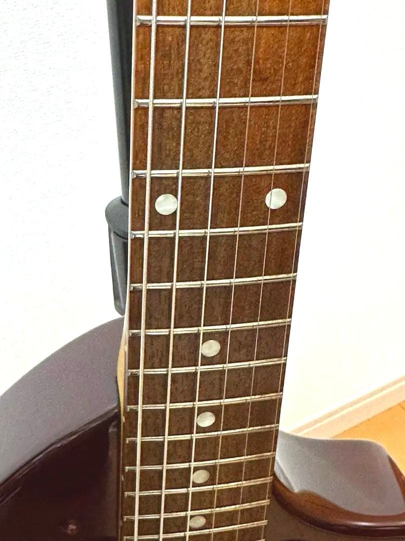 FERNANDES ZO-3 DIGI-ZO HIPER WR デジゾーハイパー