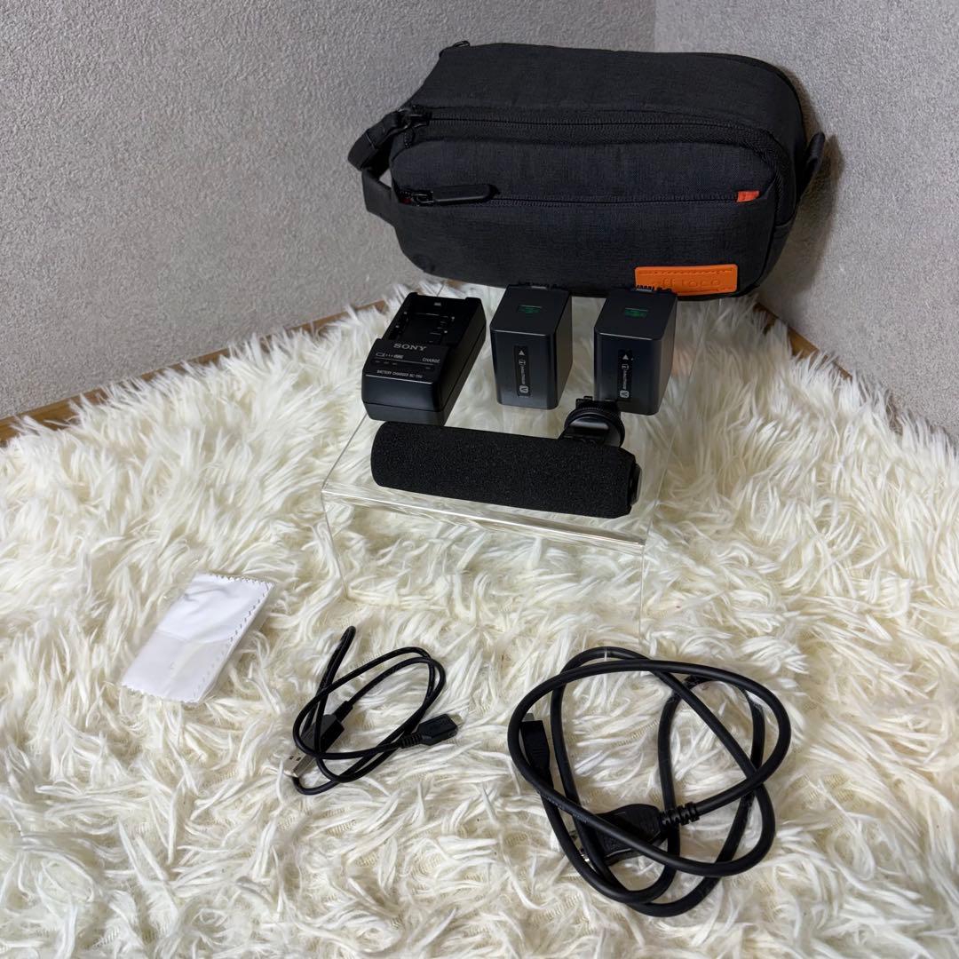 【極美品】SONY FDR-AX45 ビデオカメラ バッテリー2個 付属品多数