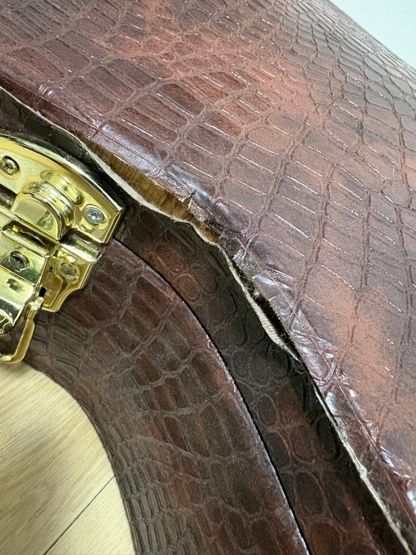 D'Angelico ( ディアンジェリコ ) NYL-2 100th 野葡萄