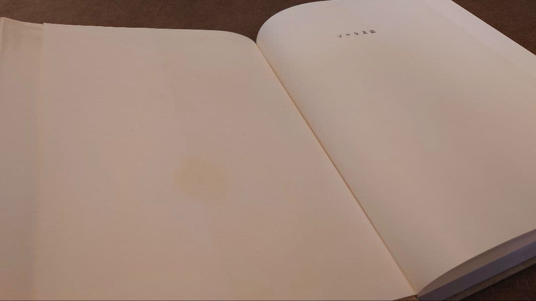 【ゴヤ全素描】