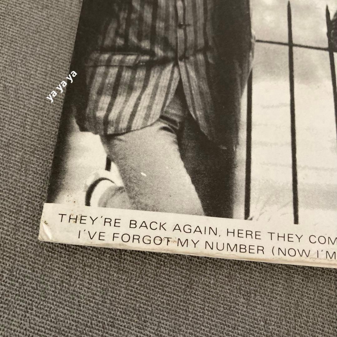 The Cigarettes They're Back Again… パンク天国