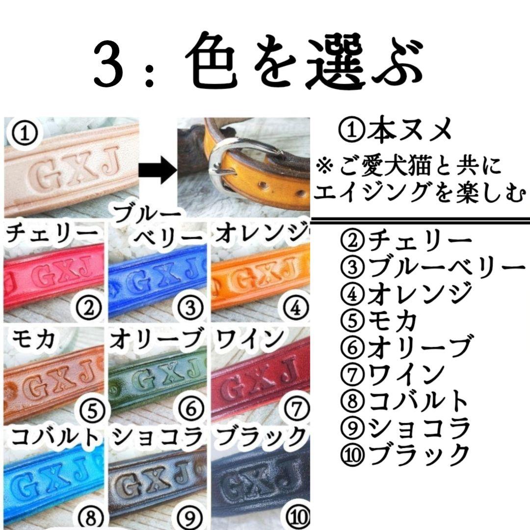 【ミシェル  】✨名入れ✨本革✨小型犬猫用首輪＆リードセット