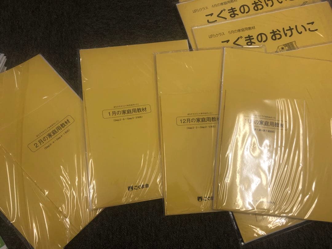 【未開封】こぐまのおけいこ 9冊セット（11〜7月）ばらクラス年長向け家庭用