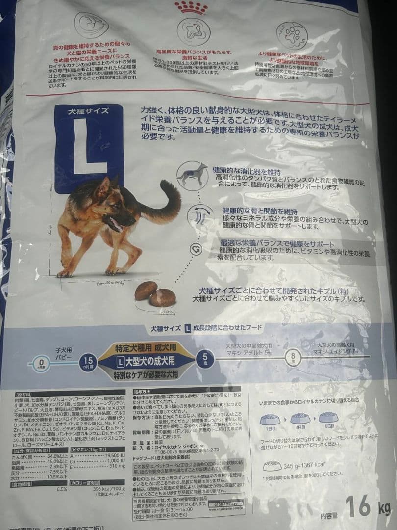  CANIN マキシアダルト　 16kg