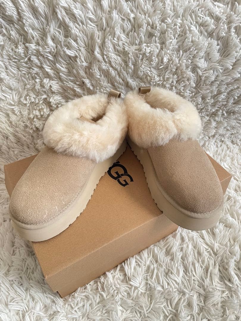 UGG Tazzelleタゼル　24cm 新品未使用⑅◡̈⃝*snidelコラボ
