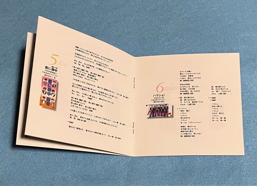 忍者 ベストアルバム DO OUR BEST リンゴ白書 など 10曲収録