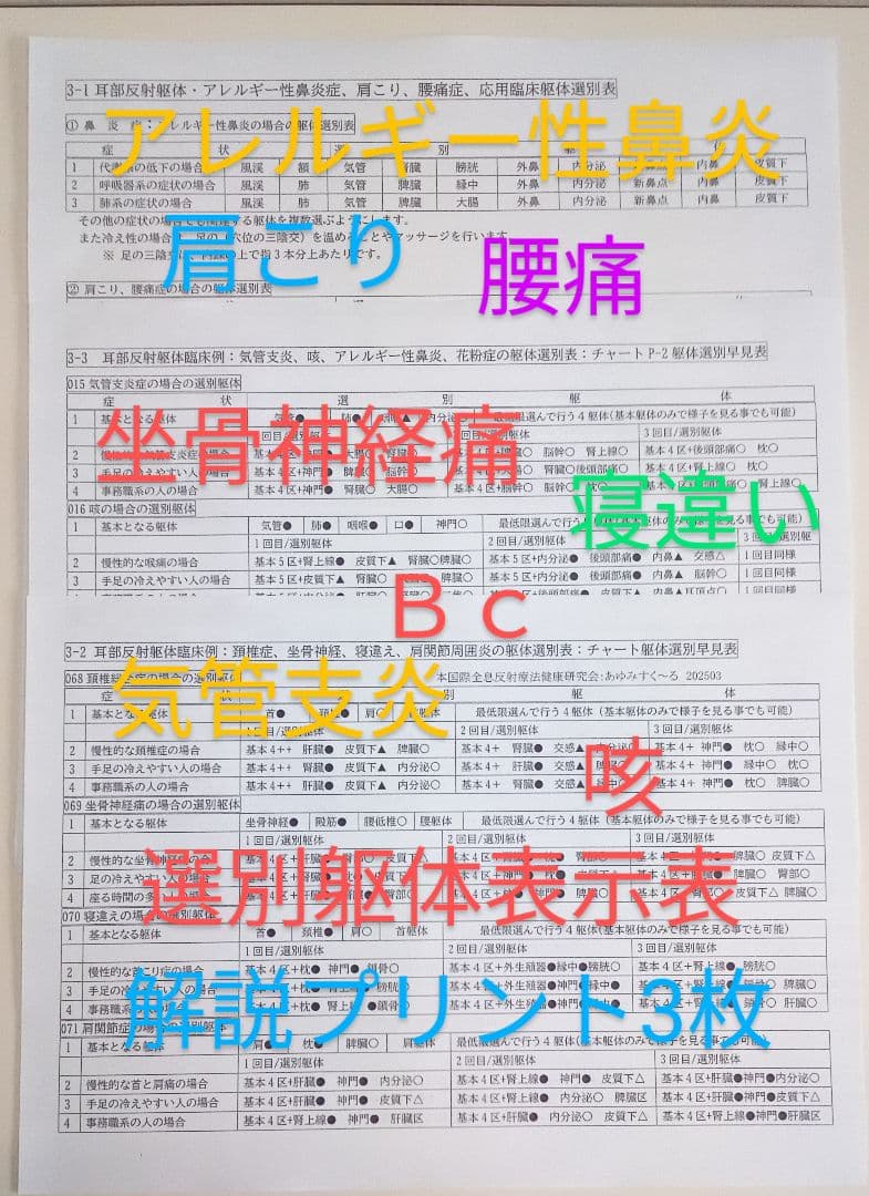 Bc:耳つぼ：耳臨床54例集+臓器/躯体ラミネート+解説冊子/プリント13set