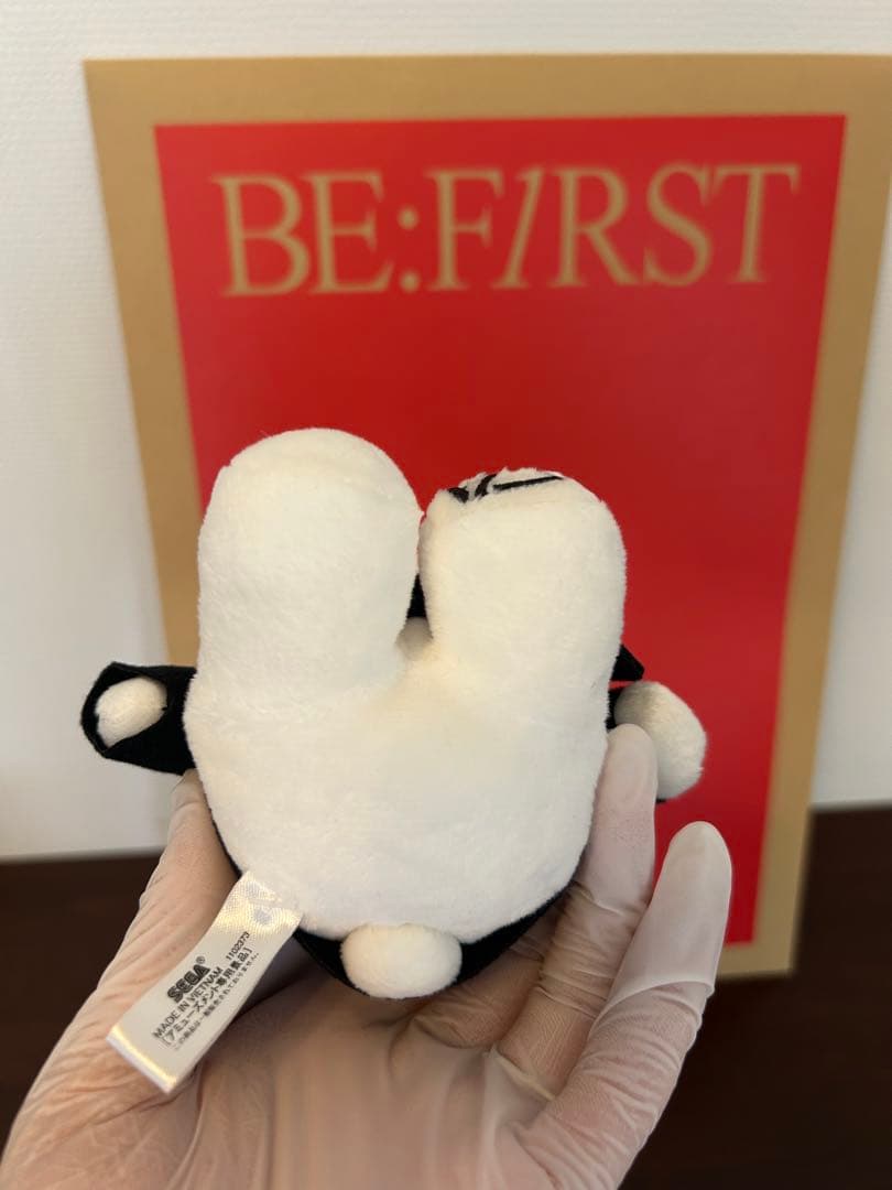 ふるーちぇ様先日お買い上げ分とおまとめ専用