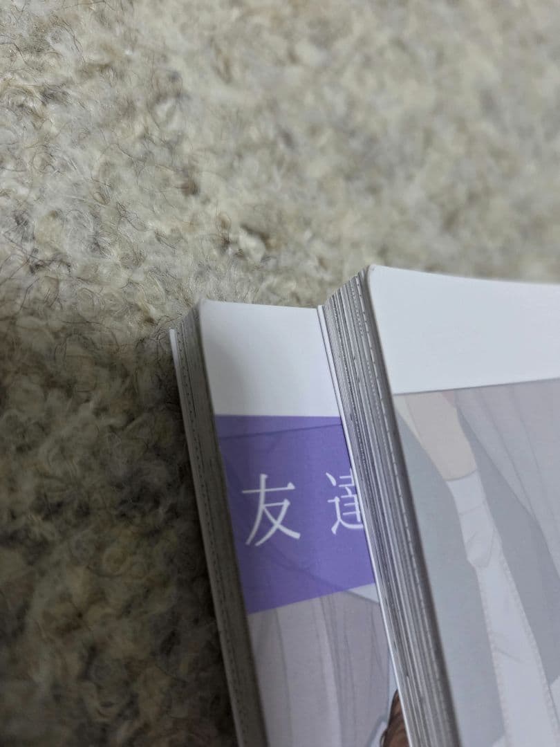 同人誌 友達の姉ちゃんに恋した話 姉ちゃんの友達がうざい話