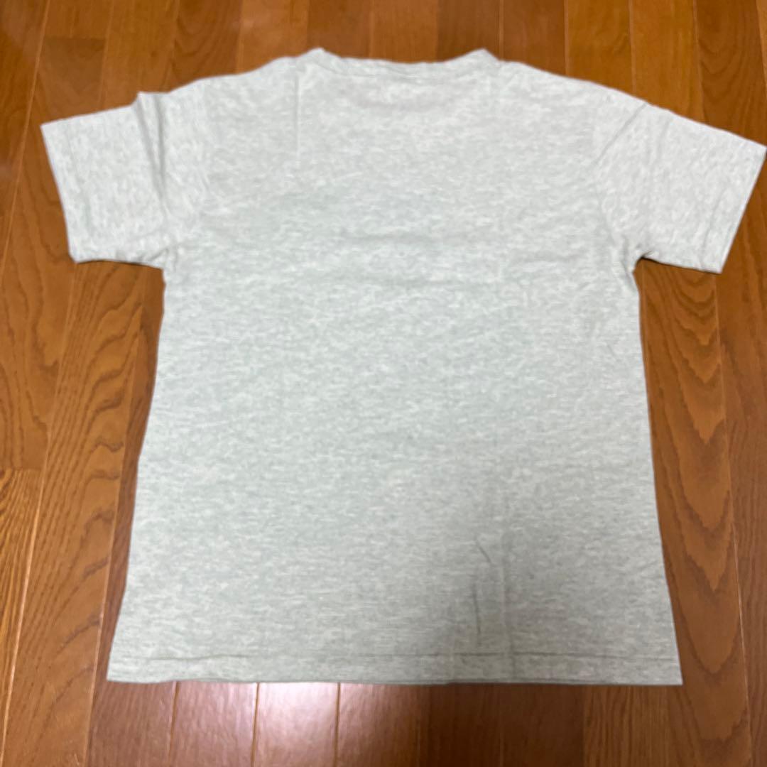 stussy×Championコラボ　ミント色　Tシャツ Sワッペン