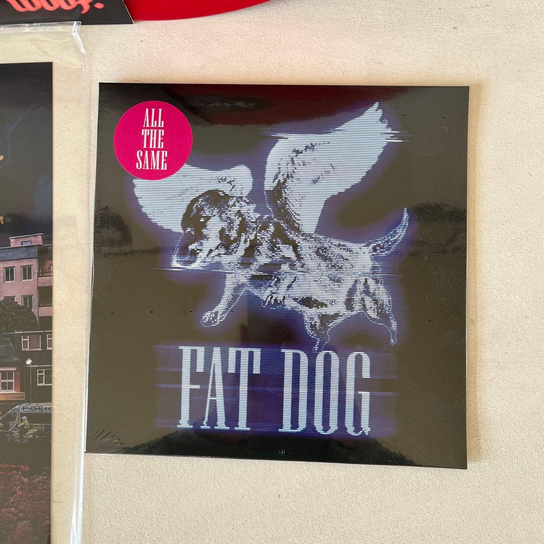 FAT DOG レコード