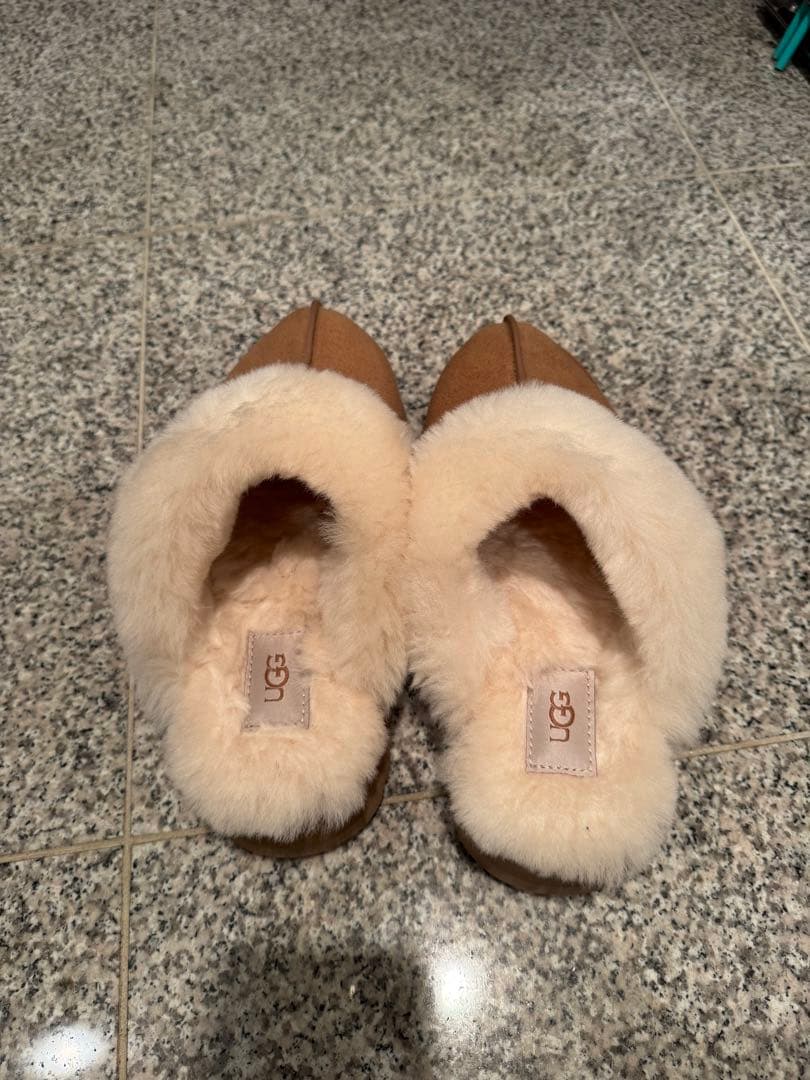 UGG ディスケット DISQUETTE