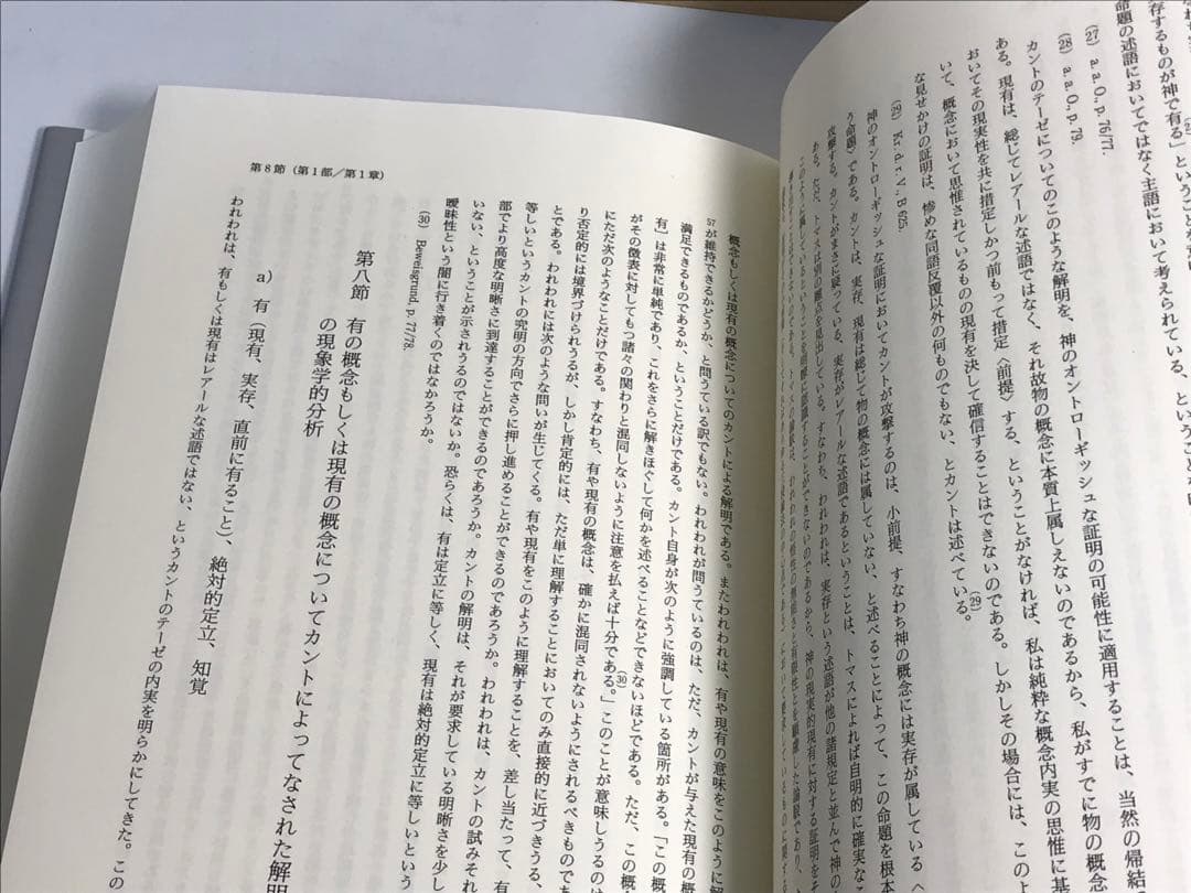 ハイデッガー全集 24 現象学の根本諸問題 第24巻