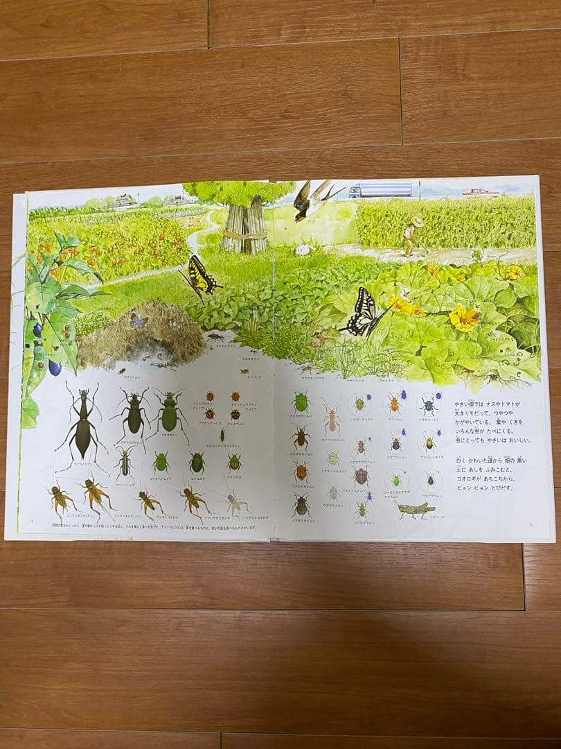自然に関する絵本セット　12冊セット　福音館書店　全シリーズ