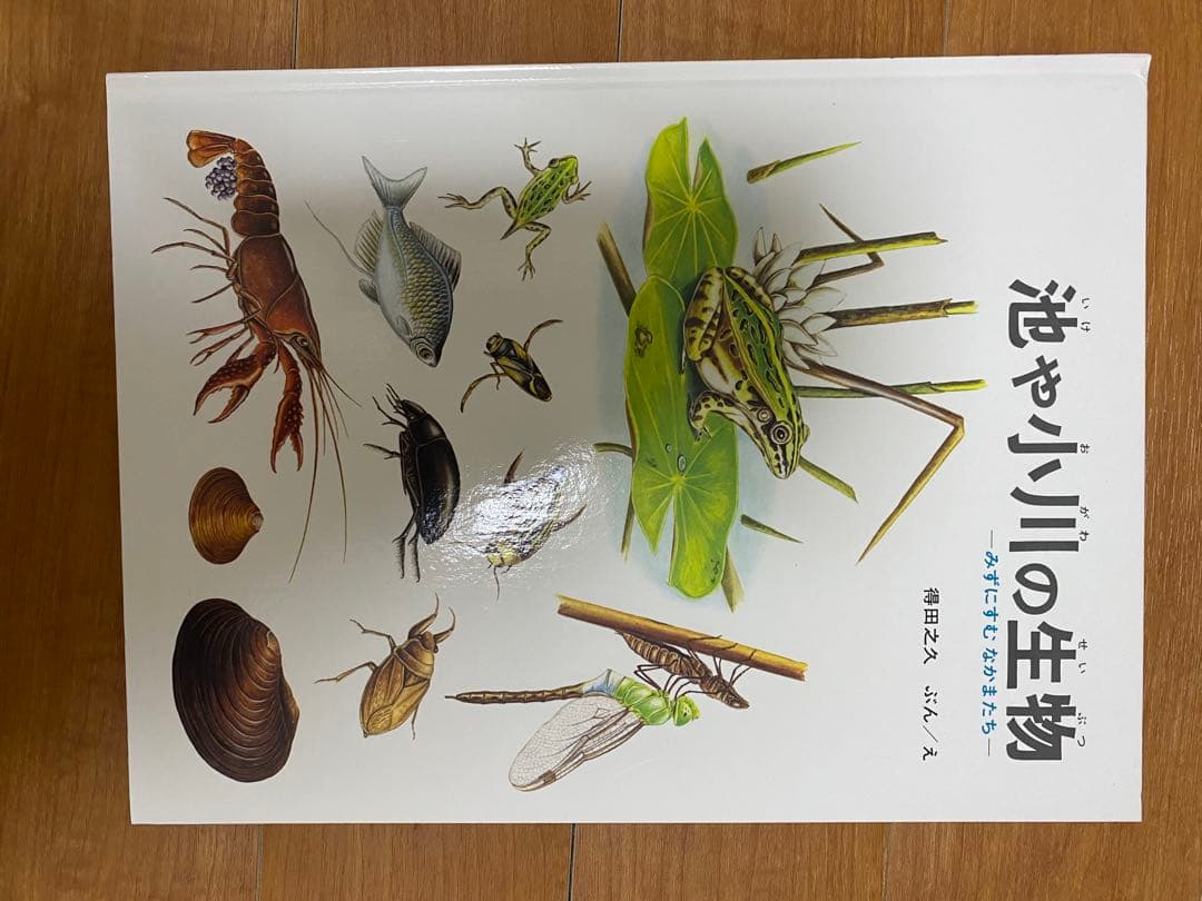自然に関する絵本セット　12冊セット　福音館書店　全シリーズ