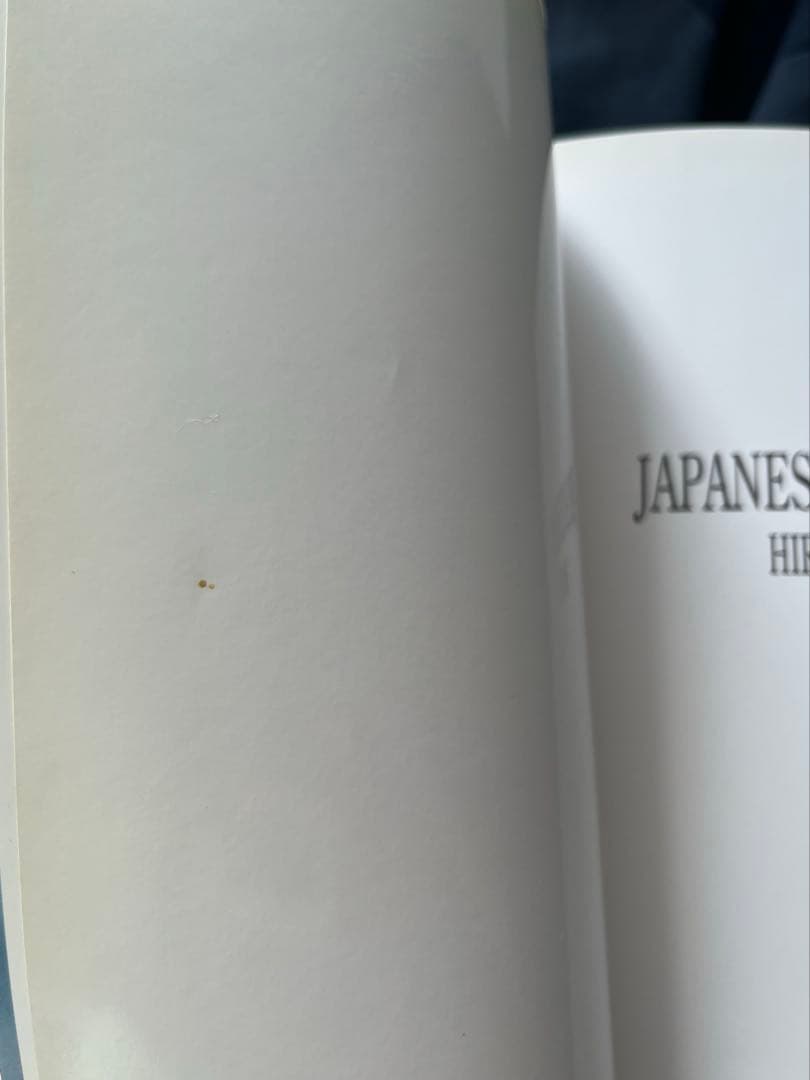 HIROMIX 写真集　JAPANESE BEAUTY