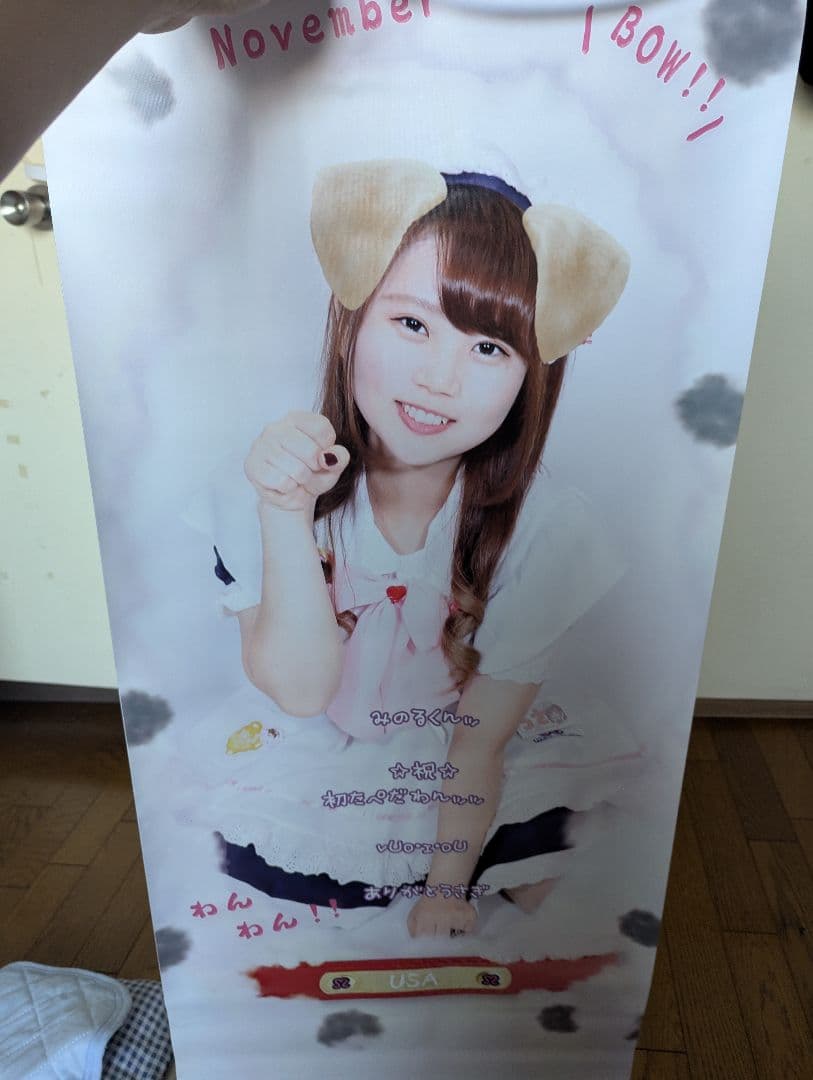 元めいどりーみん　うさタペストリーまとめうりバージョン10枚