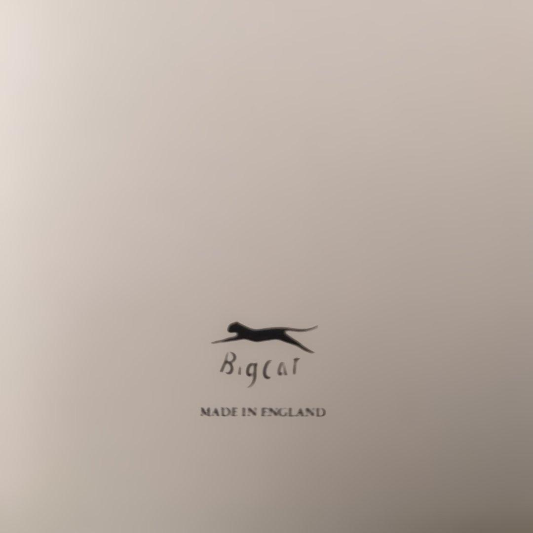 Faith Over Reasonアイズ・ワイド・スマイル スザンヌ・ヴェガ美品
