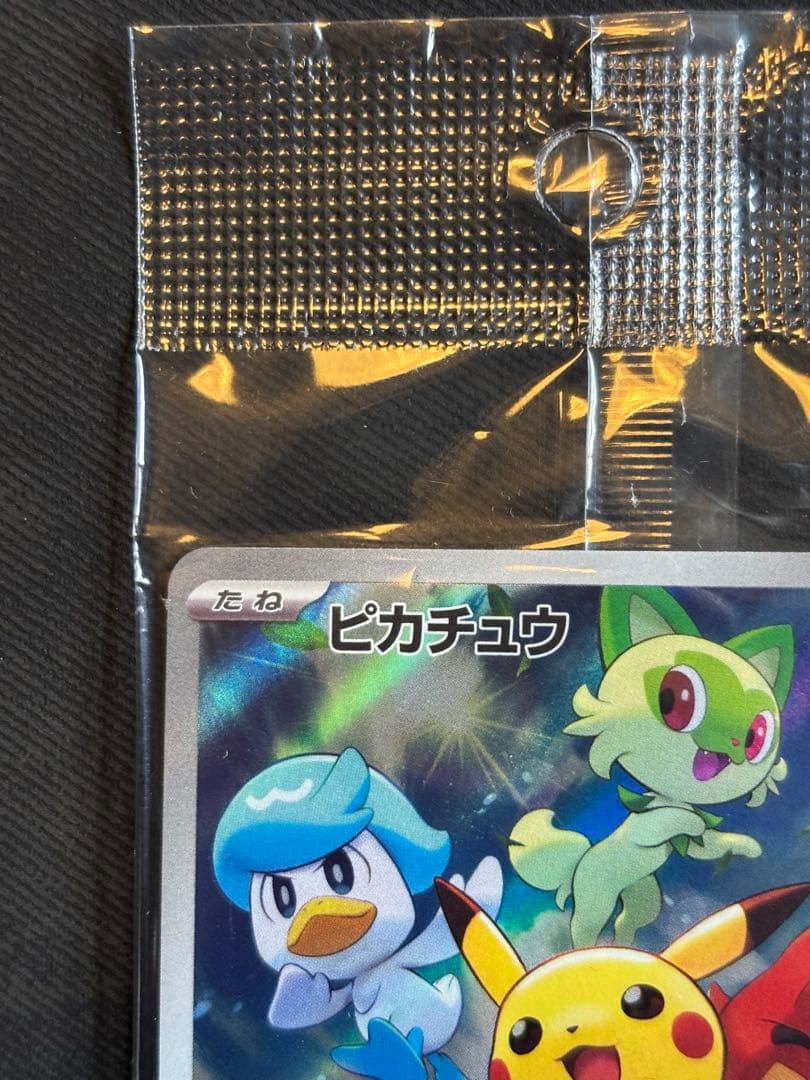 ポケットモンスター バイオレット　カード付属