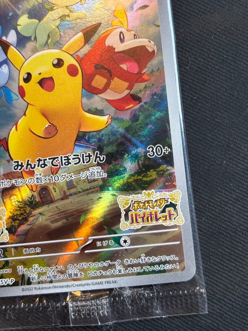 ポケットモンスター バイオレット　カード付属