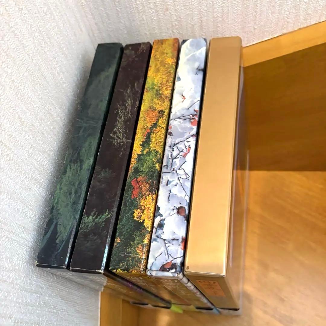 四季花ごよみ 草木花の歳時記 春夏秋冬 別巻 講談社 5冊セット