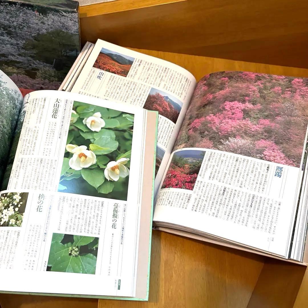 四季花ごよみ 草木花の歳時記 春夏秋冬 別巻 講談社 5冊セット
