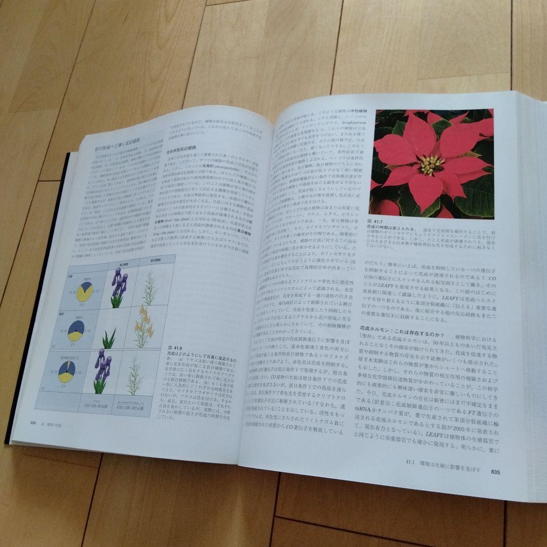 レーヴン/ジョンソン生物学『下』原書第7版