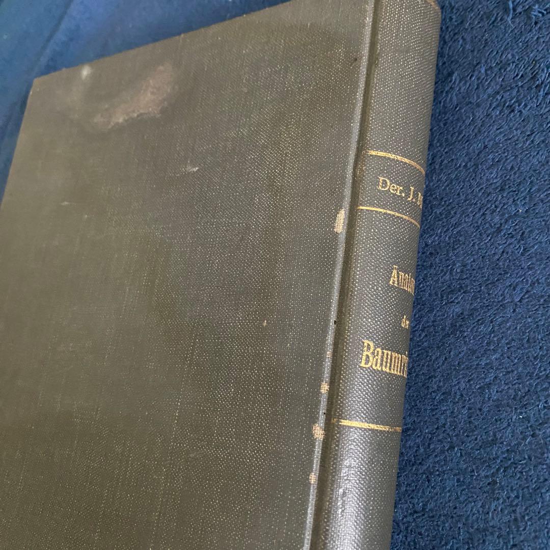 1882年 植物学 ドイツ古書 木の樹皮 解剖学ジョセフ モーラー博士 比較研究