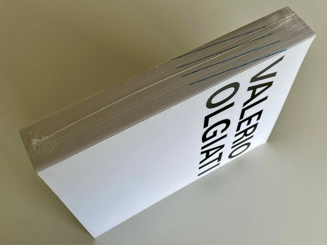 【初版・新品・未開封】Valerio Olgiati　ヴァレリオ オルジアティ