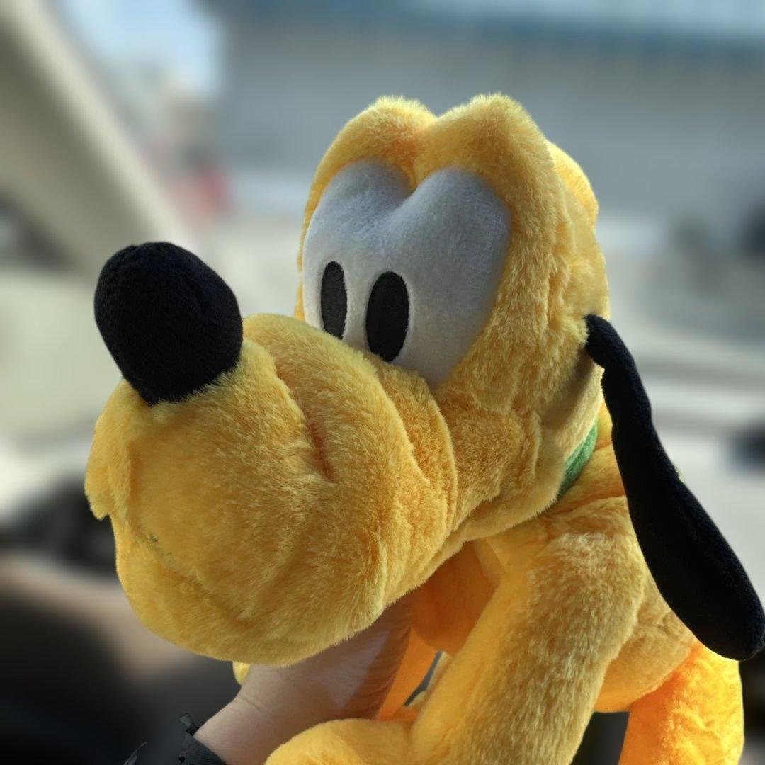 ディズニーストア プルート マルチポシェット ぬいぐるみ風 手ぶらGoods