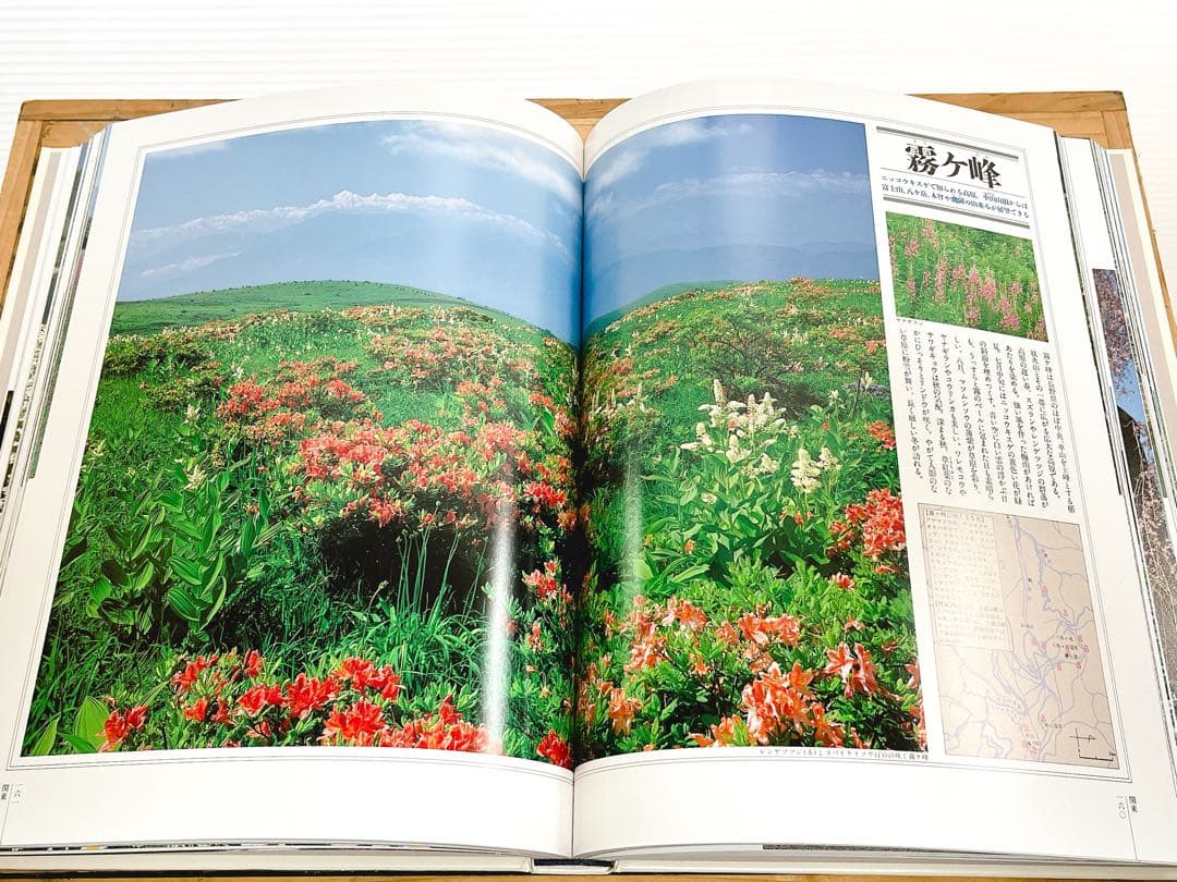 植物図鑑（四季花ごよみ）全5冊 講談社 カバー・帯付き